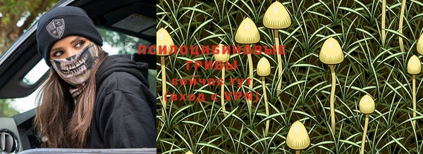 PSILOCYBIN Абинск