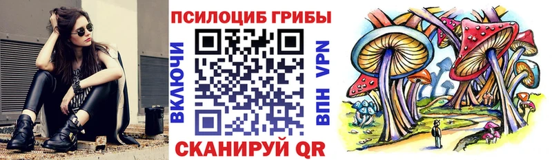 где найти   MEGA tor  Галлюциногенные грибы Psilocybine cubensis  Терек 